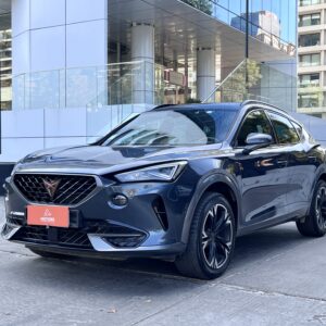 CUPRA FORMENTOR 2.0 2023 37.600 KM